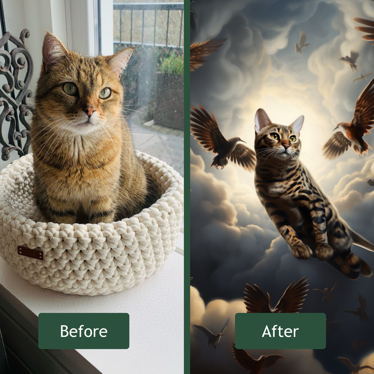 Persoonlijk kattenportret – Uw kat als tijdloos kunstwerk