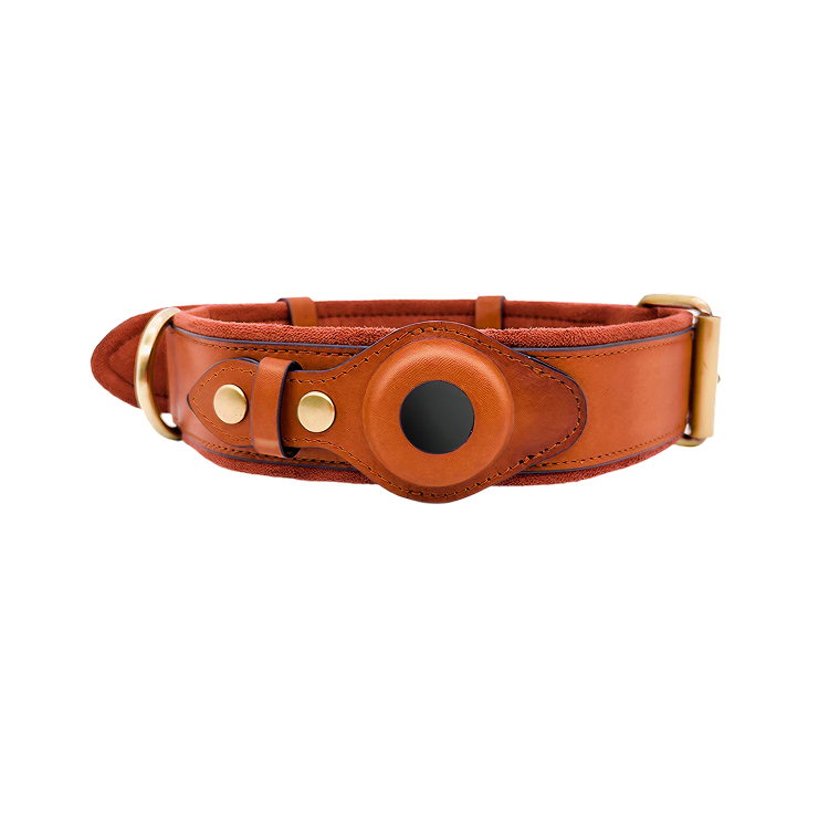 Luxe leren hondenhalsband met AirTag (tracker voor honden)