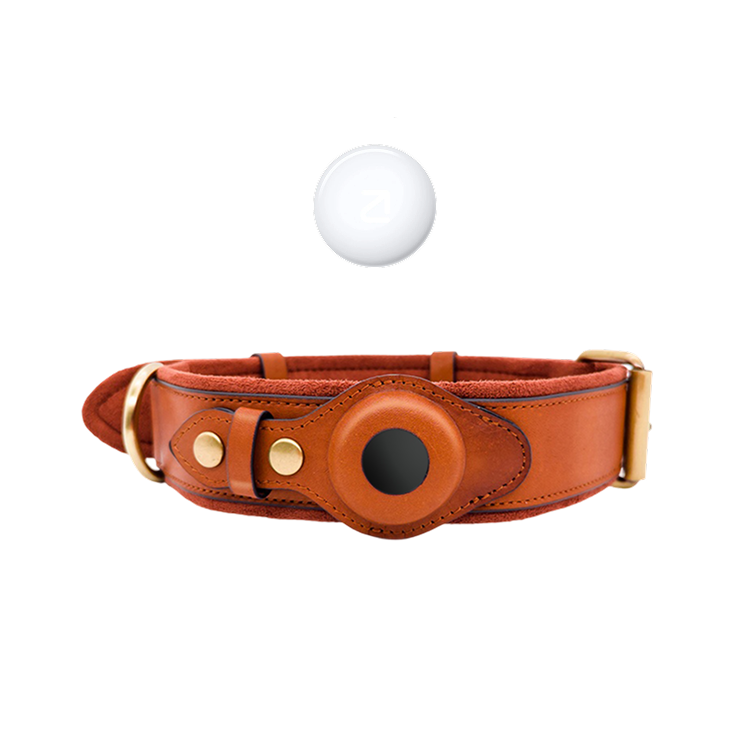 Luxe leren hondenhalsband met AirTag (tracker voor honden)
