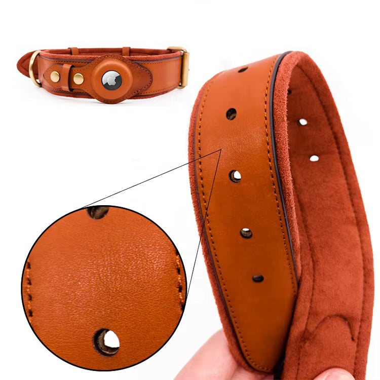 Eco-friendly dog collar with Apple tracking