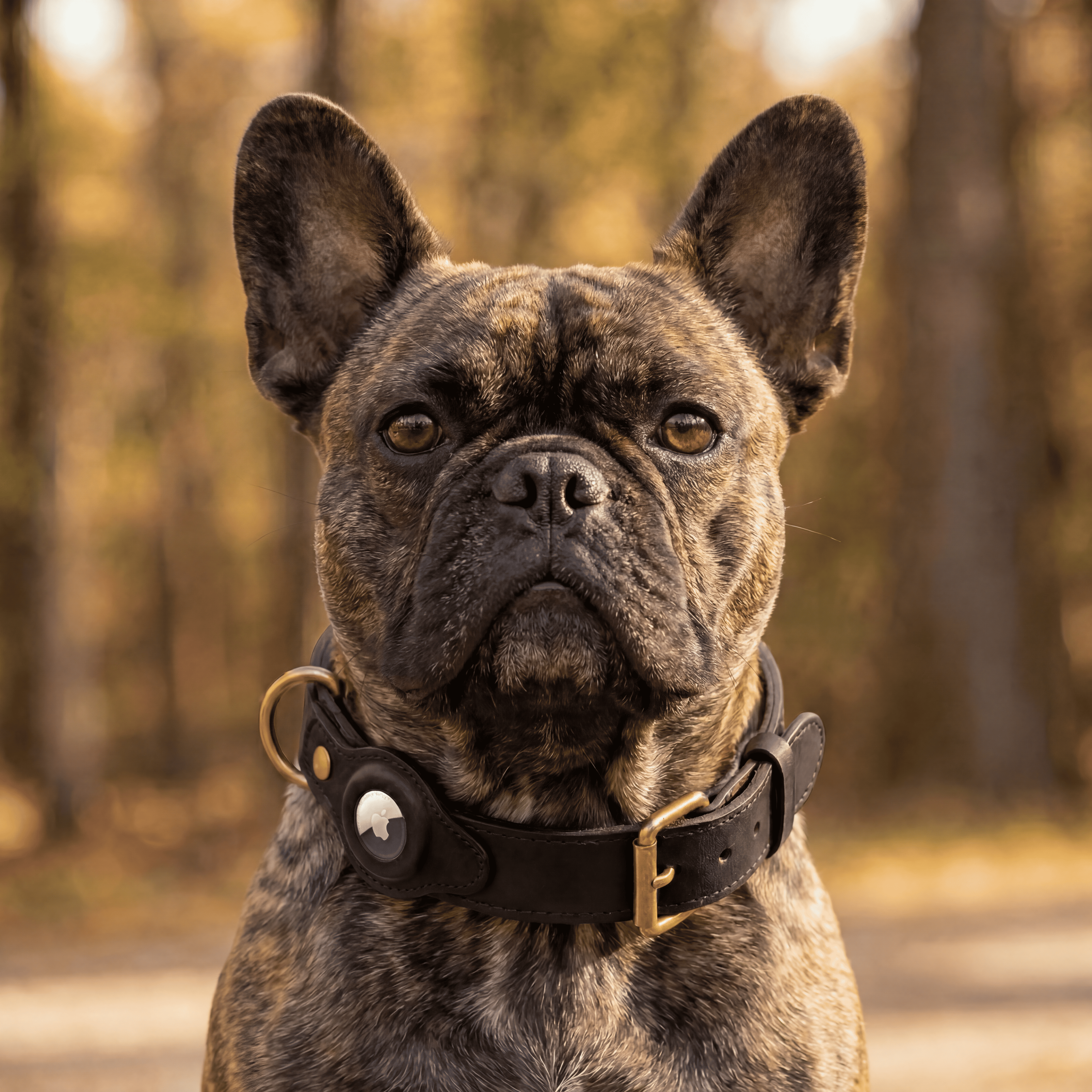 Luxe leren hondenhalsband met AirTag (tracker voor honden)