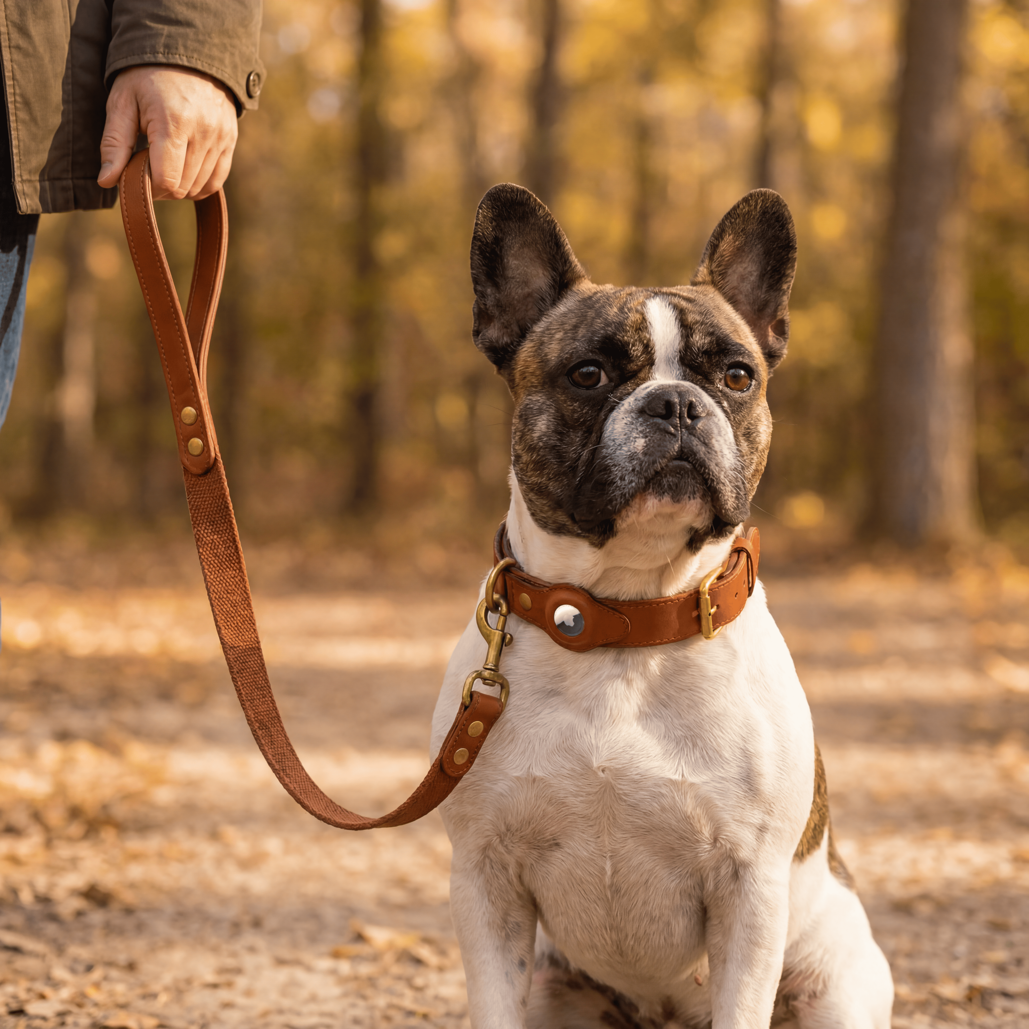 Luxe leren hondenhalsband met AirTag (tracker voor honden)