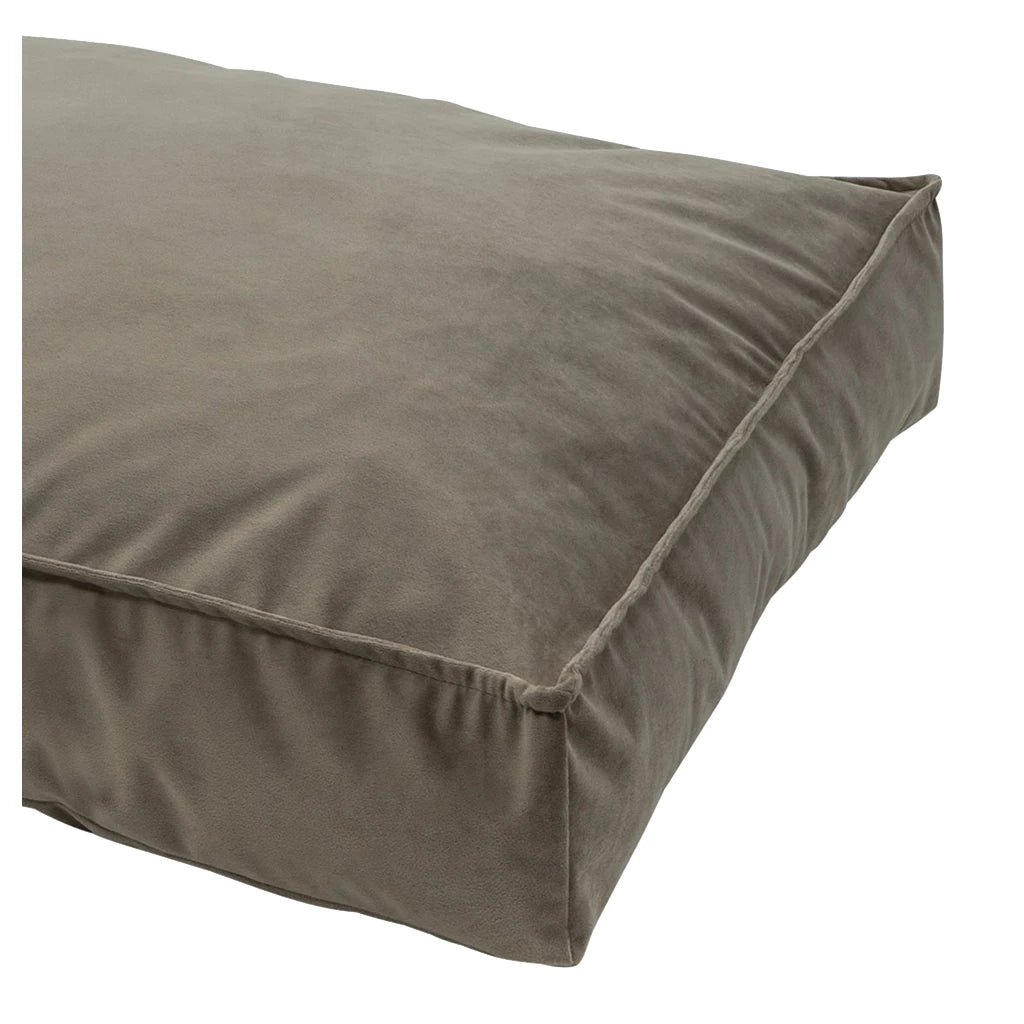 CloudLounge™ - Luxe Loungekussen voor Katten