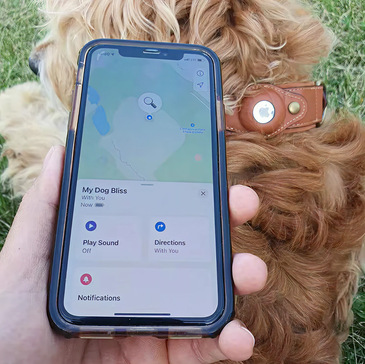 Eco-friendly dog collar with Apple tracking