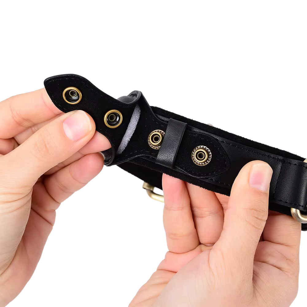 Luxe leren hondenhalsband met AirTag (tracker voor honden)