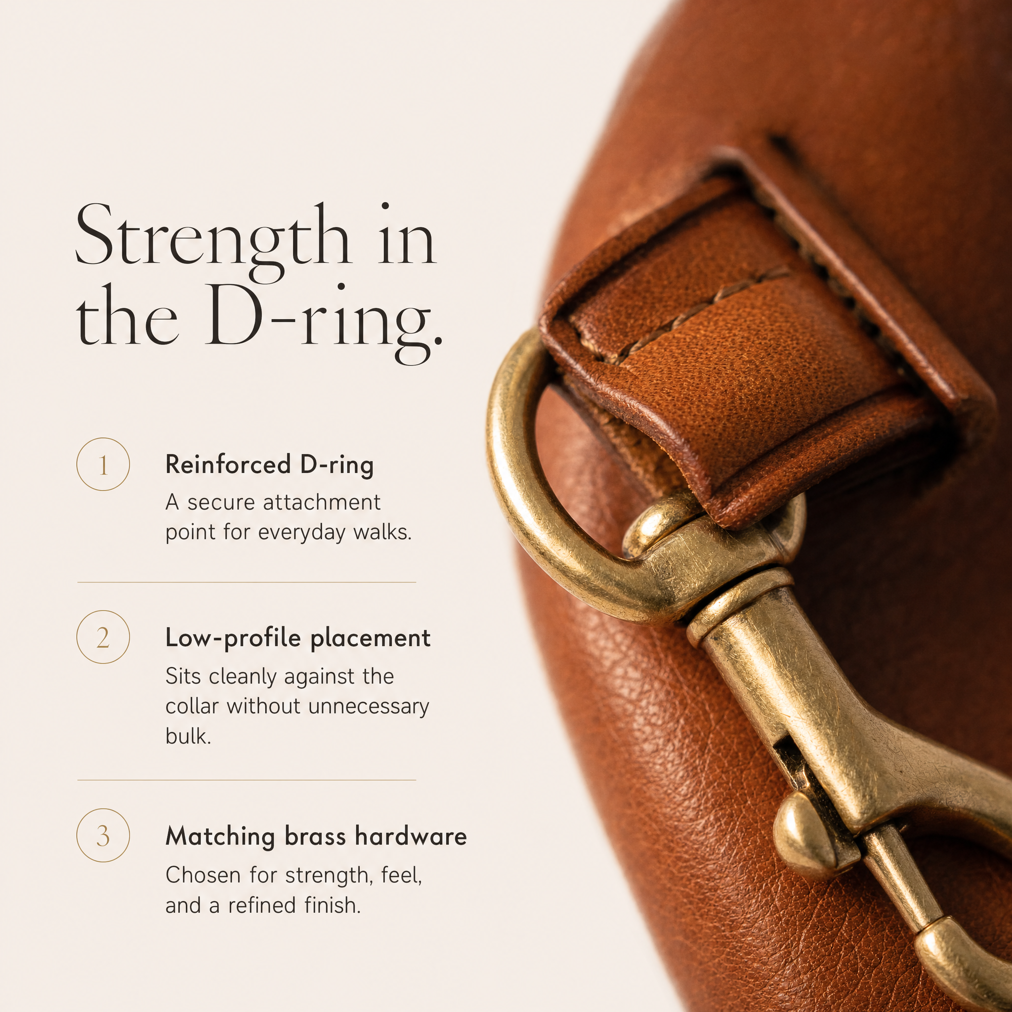 Luxe leren hondenhalsband met AirTag (tracker voor honden)